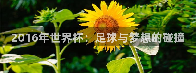 世俱杯直播：2016年世界杯：足球与梦想的碰撞