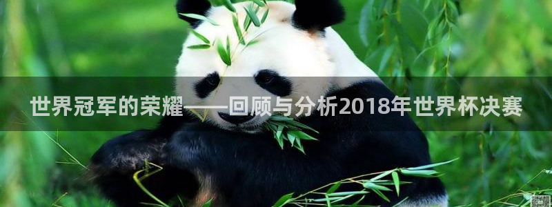 世界杯官网入口：世界冠军的荣耀——回顾与分析2018年世界杯决赛