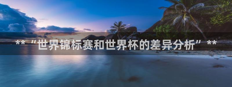 美洲杯直播：**“世界锦标赛和世界杯的差异分析”**