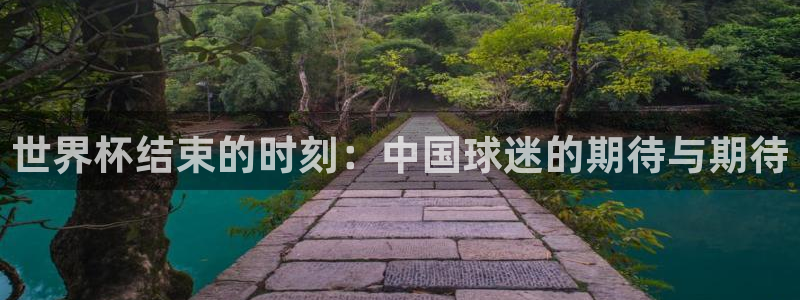 世界杯今年:世界杯结束的时刻:中国球迷的期待与期待