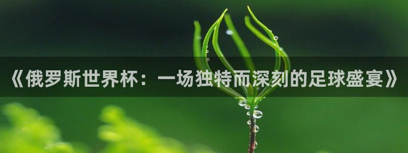 足球世界杯2026：《俄罗斯世界杯：一场独特而深刻的足球盛宴》