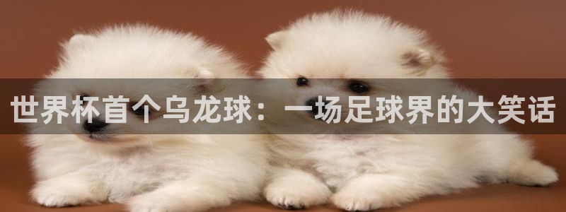 世界杯欧洲区预选赛：世界杯首个乌龙球：一场足球界的大笑话