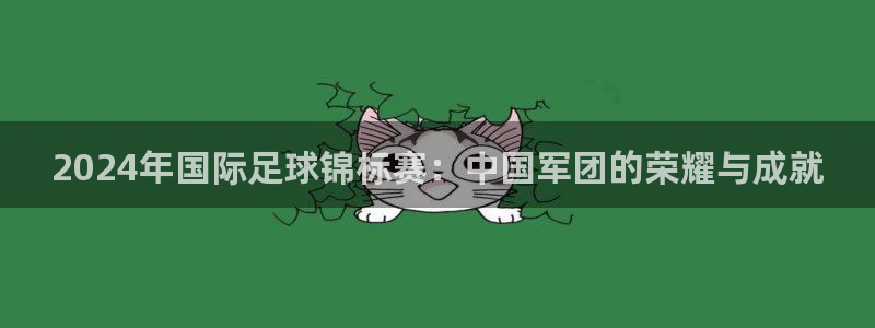 世界杯预选赛直播：2024年国际足球锦标赛：中国军团的荣耀与成就