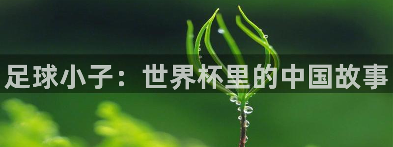 世界杯 直播：足球小子：世界杯里的中国故事