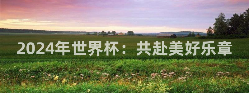 世界杯转播表：2024年世界杯：共赴美好乐章