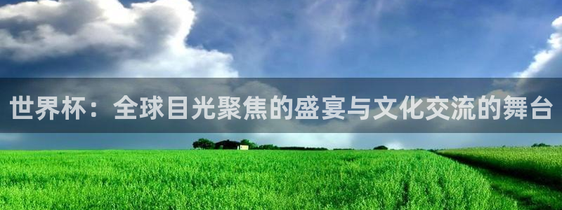 世俱杯直播：世界杯：全球目光聚焦的盛宴与文化交流的舞台