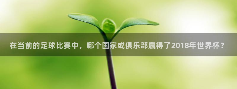 2026世界杯足球赛程时间表：在当前的足球比赛中，哪个国家或俱乐部赢得了2018年世界杯？